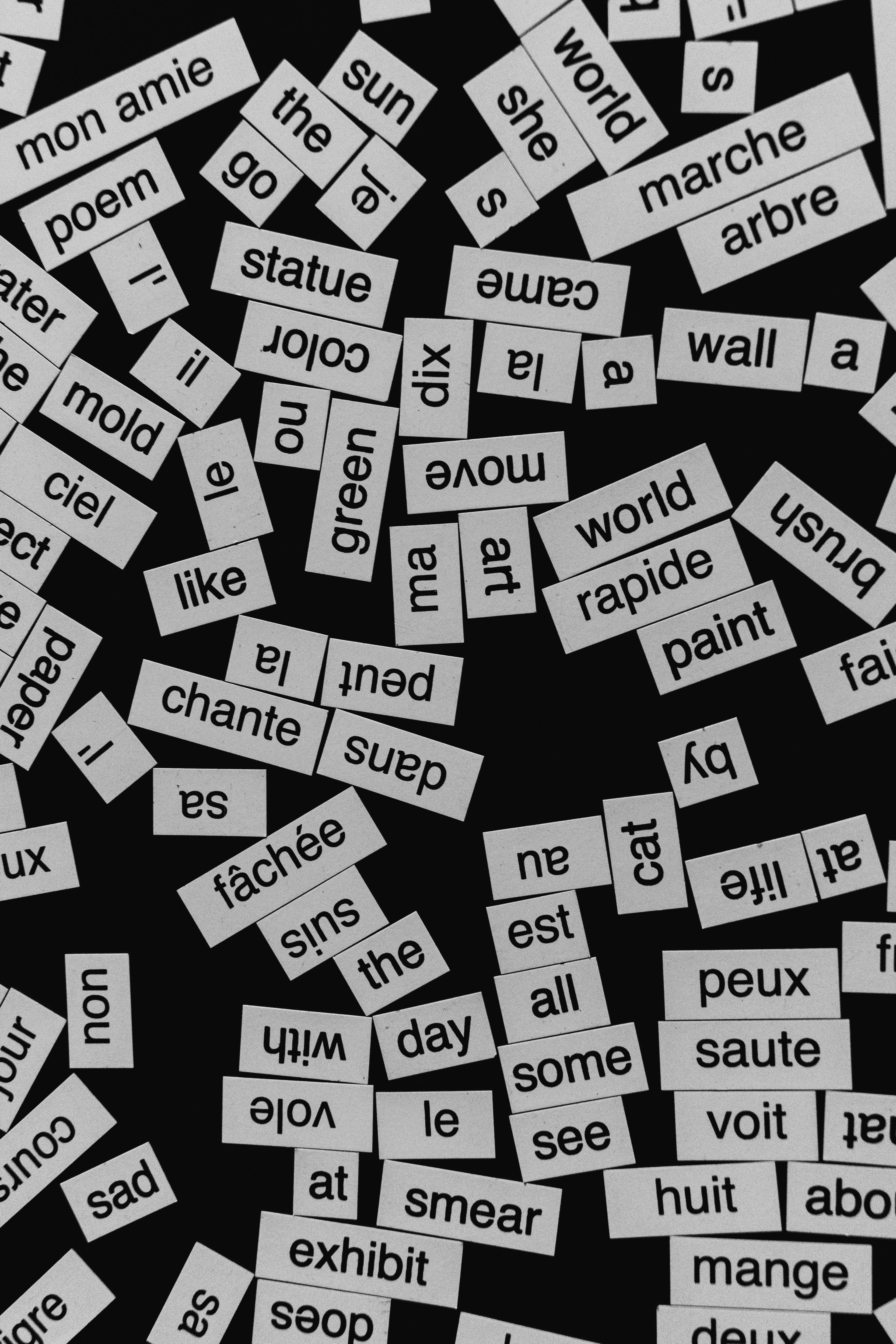 Translation